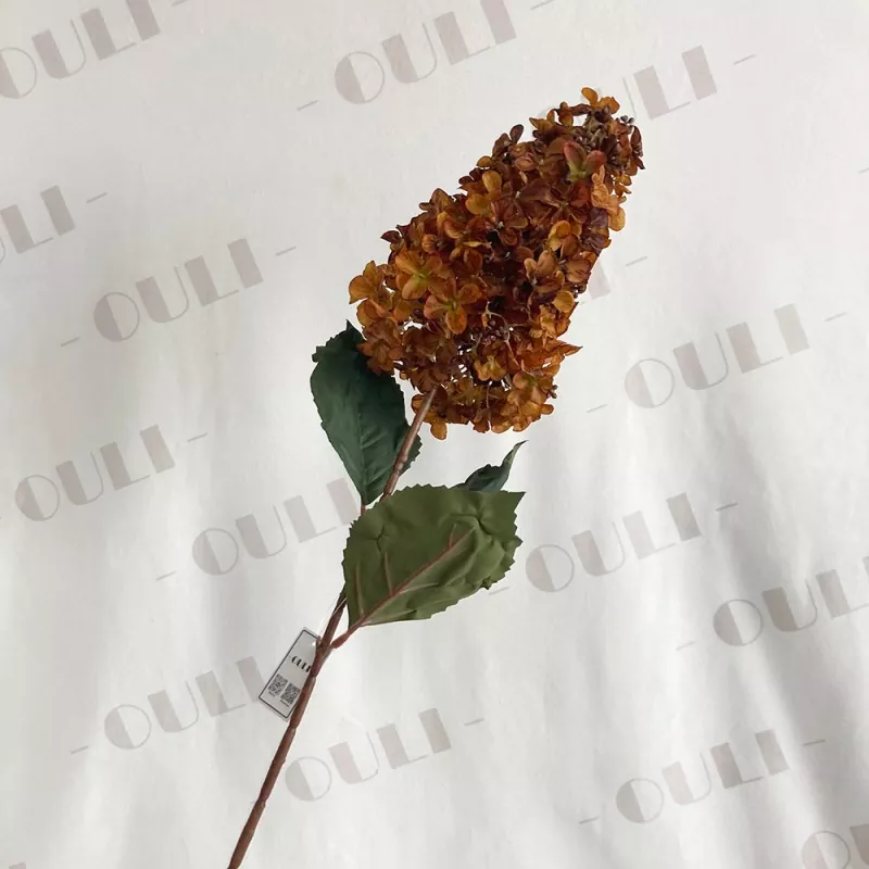 Kuivatatud puudutus Pagoodi siidi hortensia