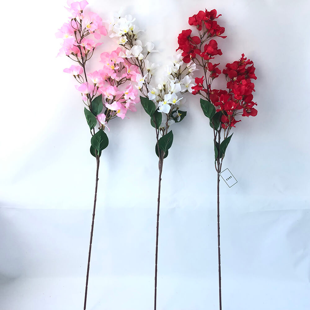 Siidist Bougainvillea lillepihusti