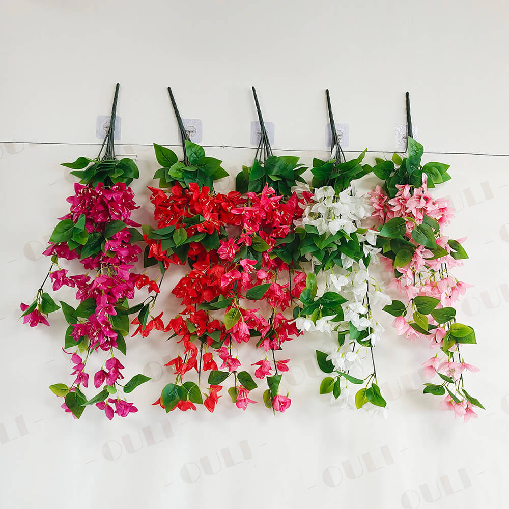 Siid Bougainvillea sein ripub