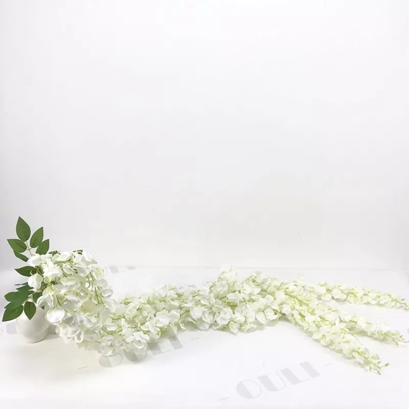 Valge võlts wisteria lilled